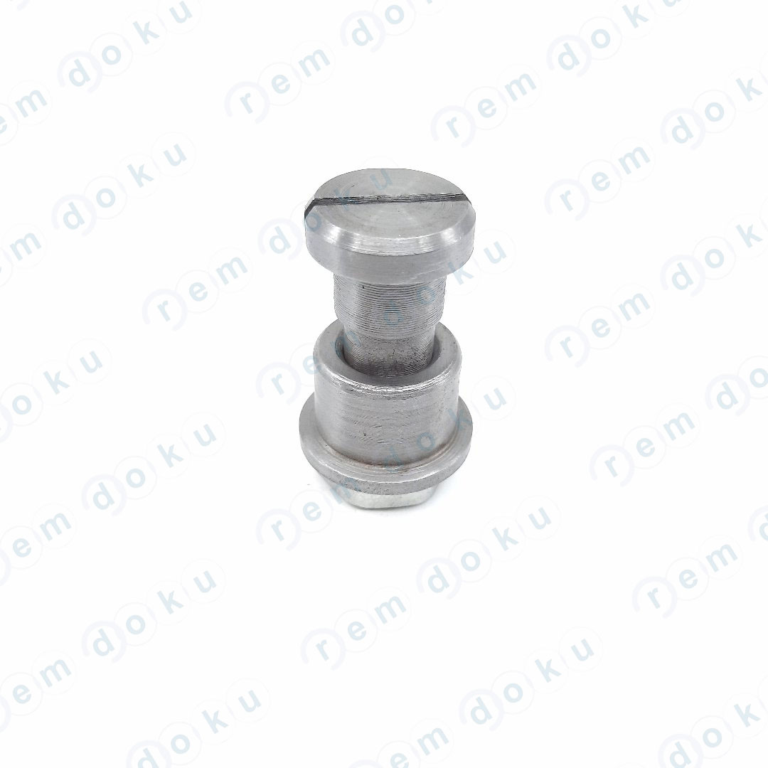 PINION