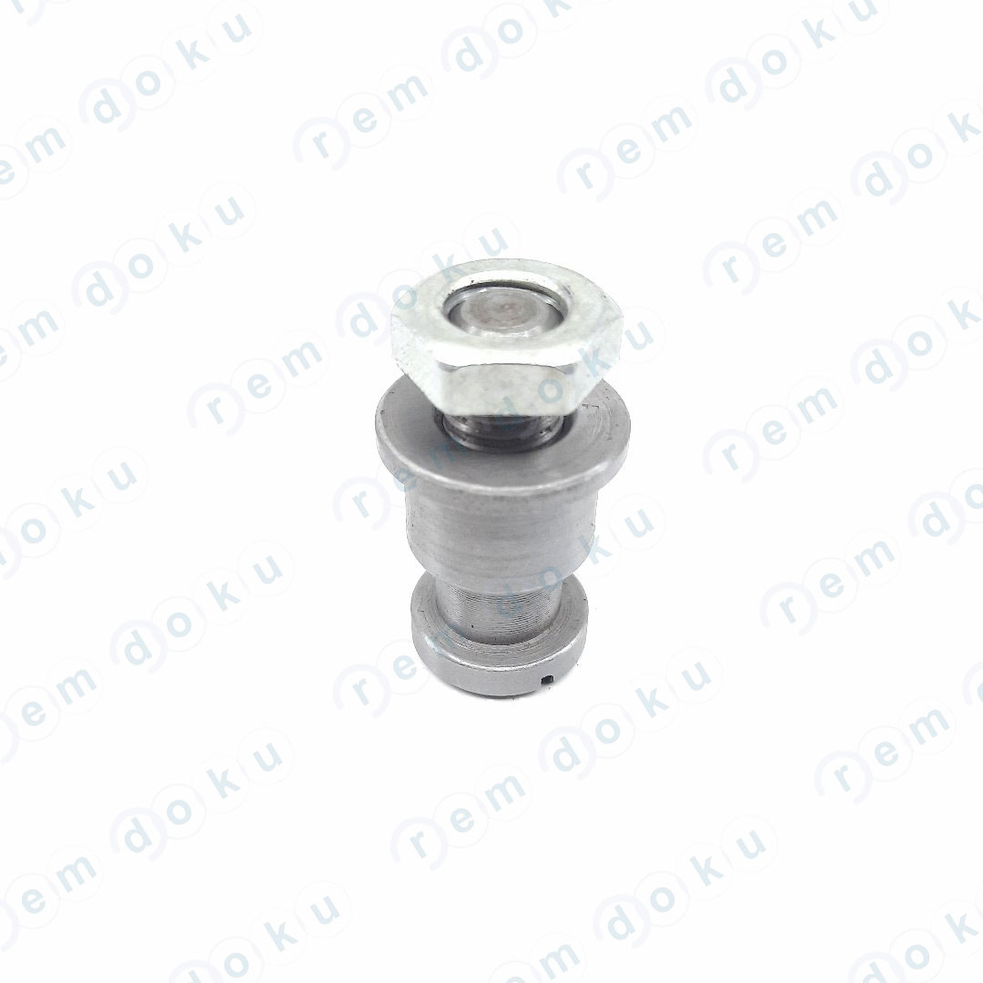 PINION